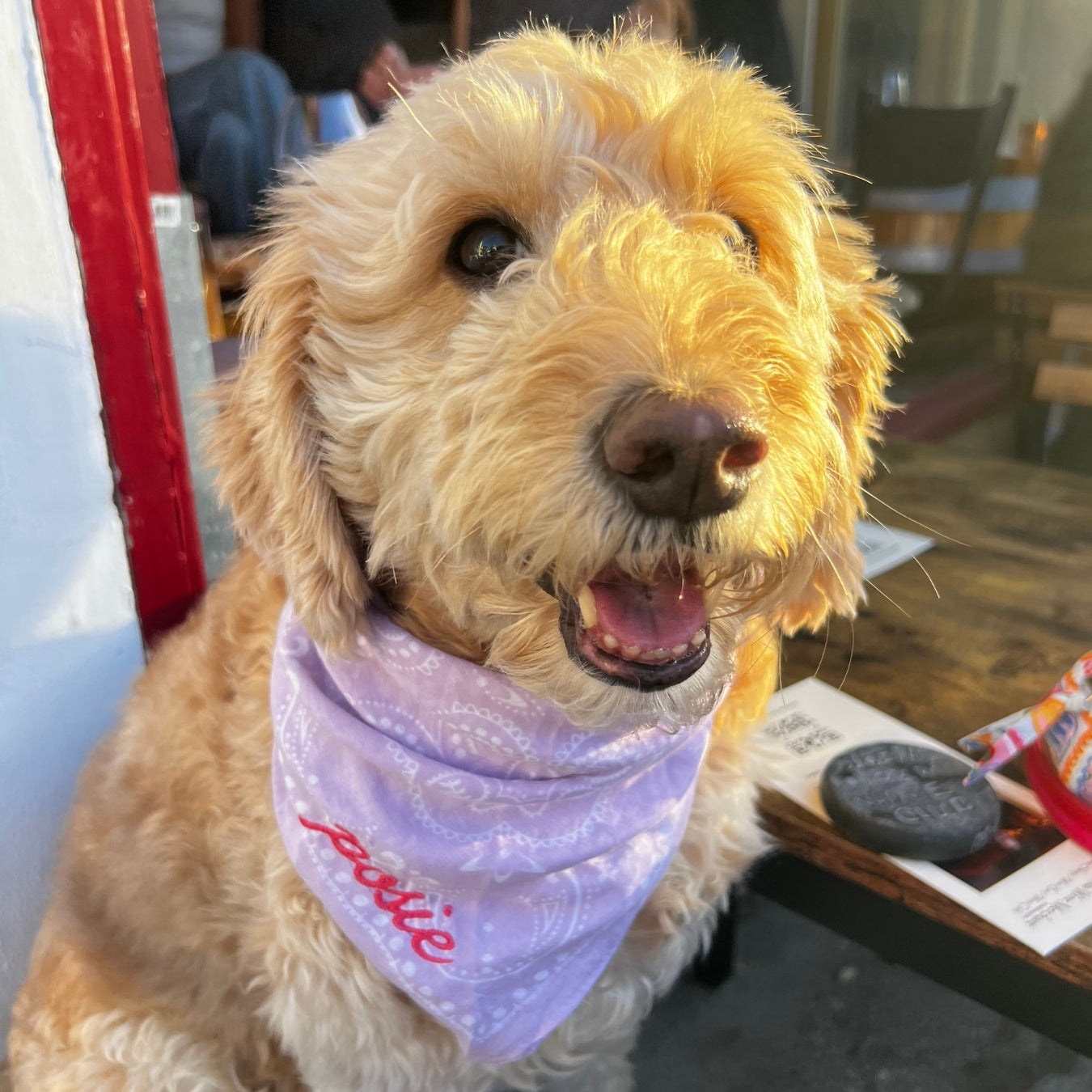 The Custom Bandana