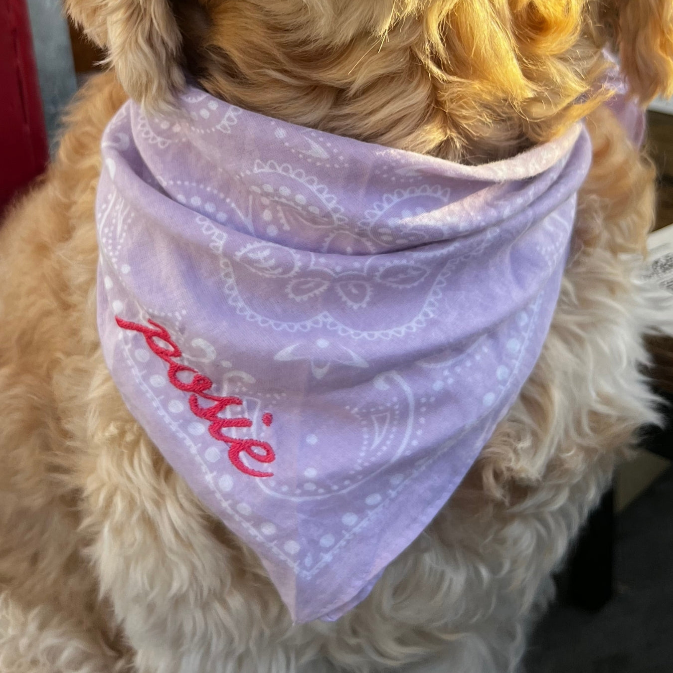 The Custom Bandana